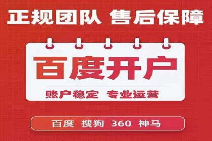 SEM代运营公司案例分析报告